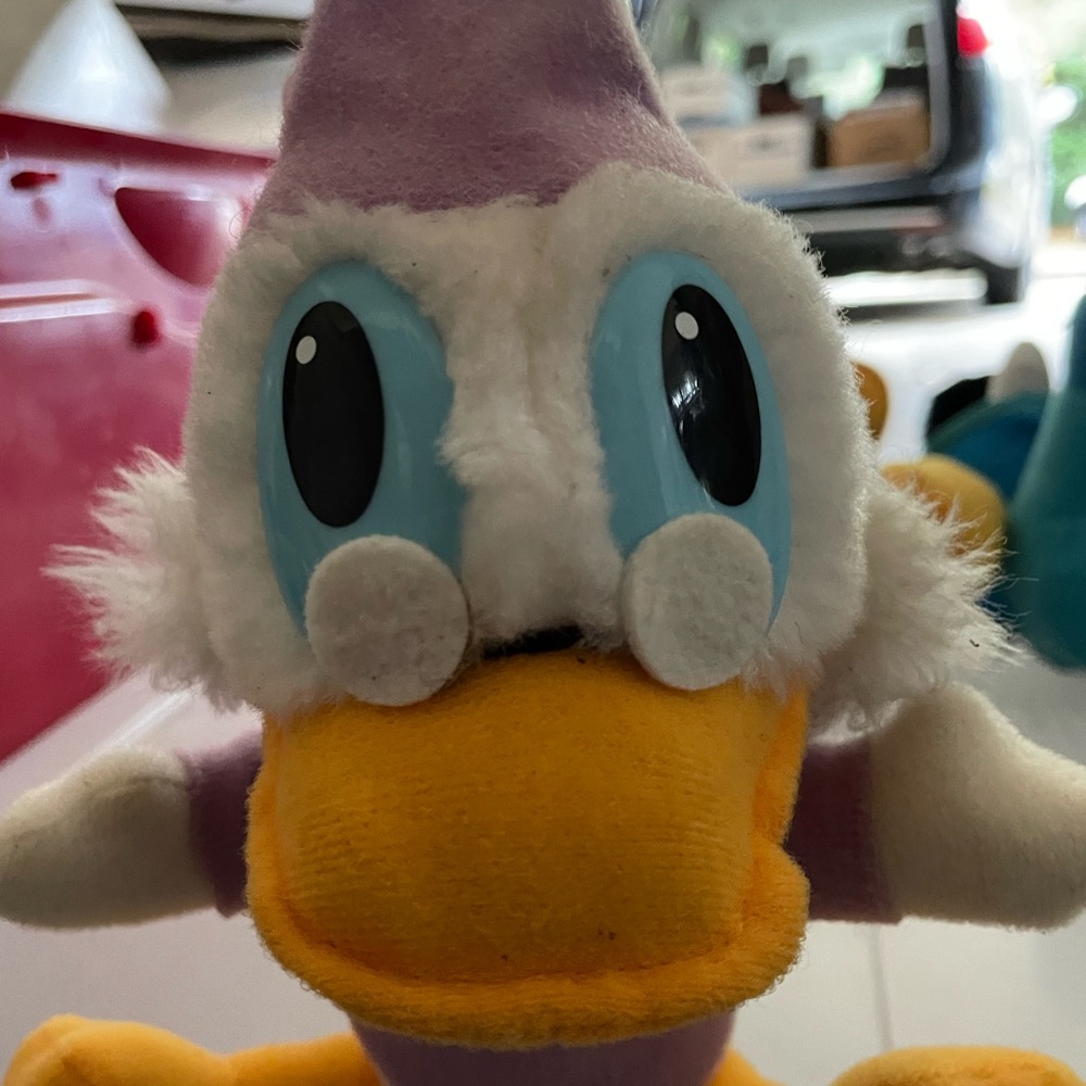 Grandpa Duck